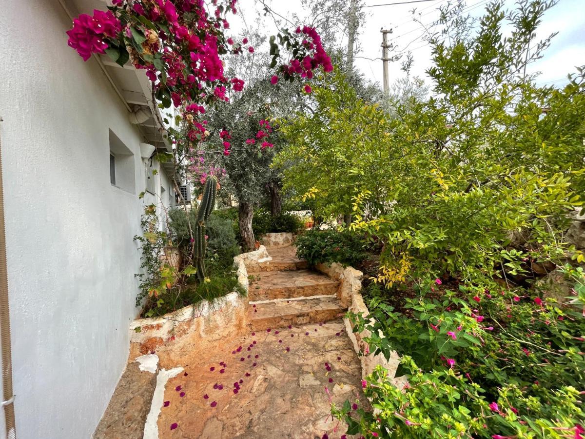 Kaktus Beach Apart Kaş Kültér fotó